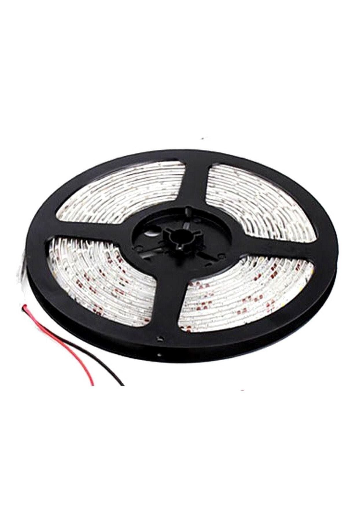 5 Metre On Çip Şerit Led Iç Mekan Gün Işığı